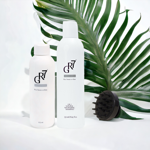 Zweikomponentenbehandlung gegen graues Haar GR-7 Tonic + Shampoo + Massagebürste inklusive